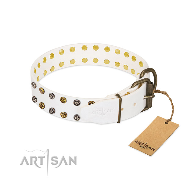 Trendy leather dog collar with rust-proof adornments