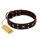 "Bigwig Woof" FDT Artisan Brown Leather Newfoundland Collar with Chrome Plated Stars and Square Studs
