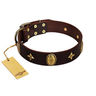 "Victory and Laurels" FDT Artisan Brown Leather Newfoundland Collar with Ovals and Stars