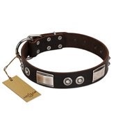 "Baller Status" FDT Artisan Brown Leather Newfoundland Collar Adorned with a Set of Chrome Plated Studs and Plates