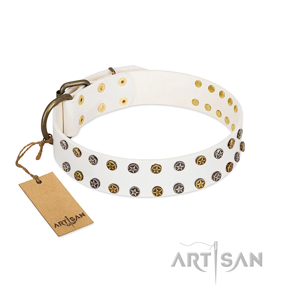 Stylish genuine leather dog collar with strong studs