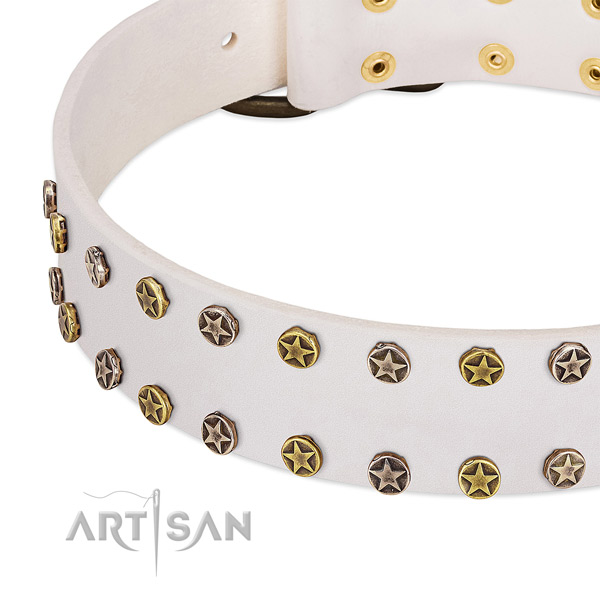 Trendy decorations on full grain natural leather collar for your doggie