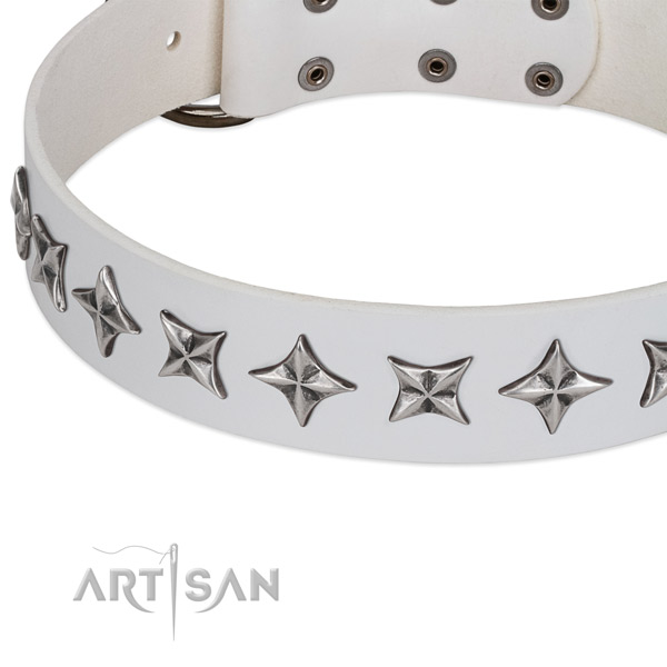 Daily walking adorned dog collar of finest quality leather