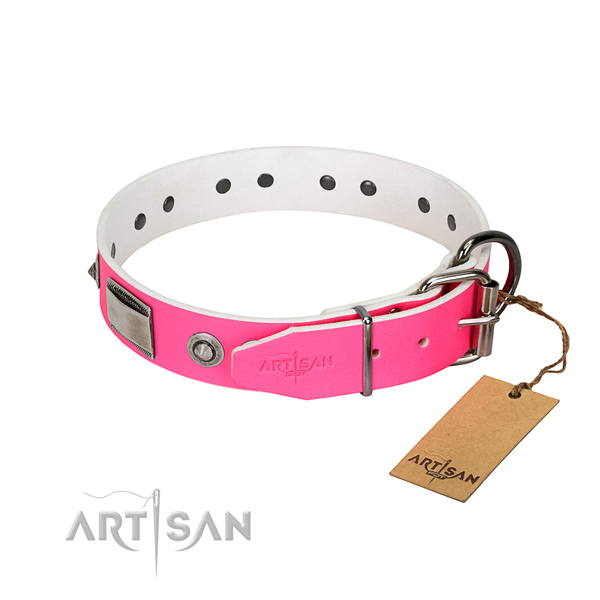 Handcrafted dog collar of genuine leather with embellishments