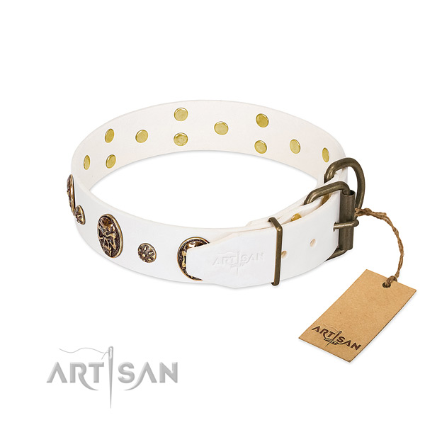 Strong studs on genuine leather dog collar for your canine