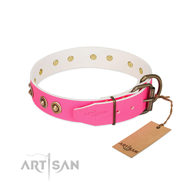 Leather dog collar with strong buckle and adornments