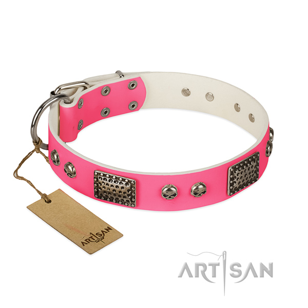 Easy wearing natural leather dog collar for walking your canine