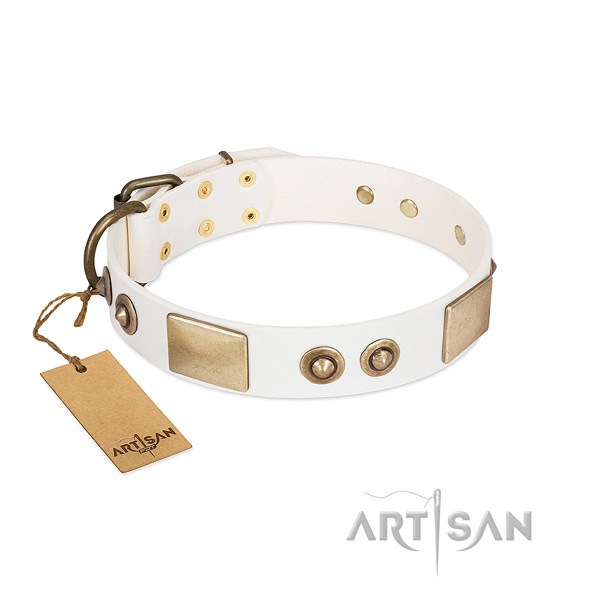 Rust-proof decorations on full grain leather dog collar for your doggie
