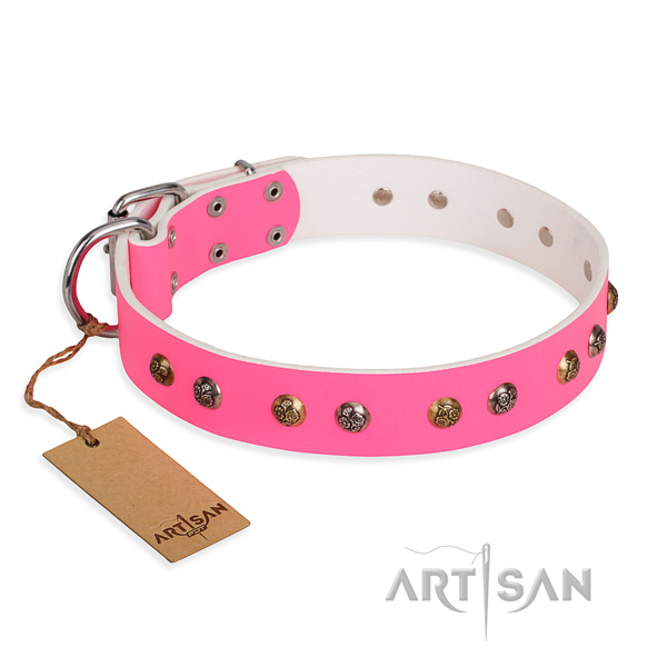 Daily walking stylish dog collar with corrosion resistant traditional buckle