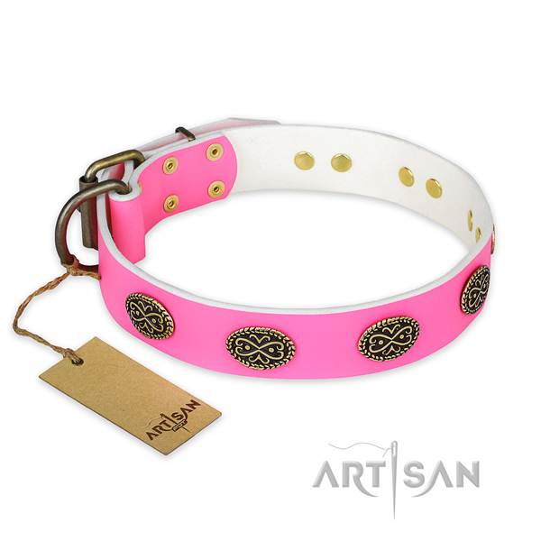 Incredible leather dog collar for walking