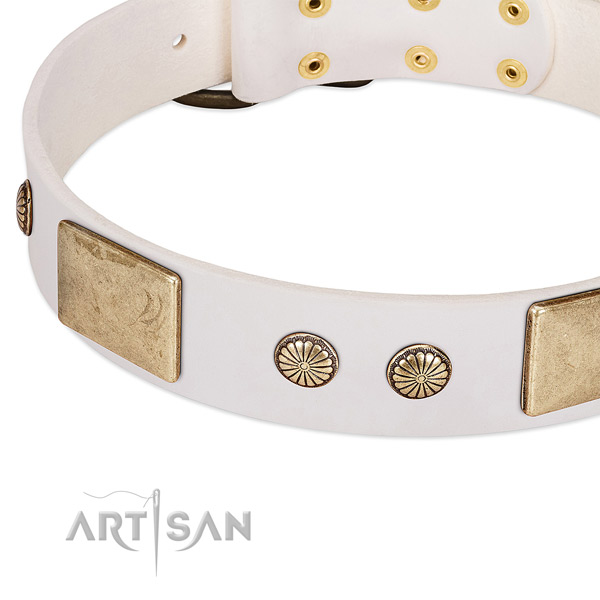 Reliable embellishments on genuine leather dog collar for your canine