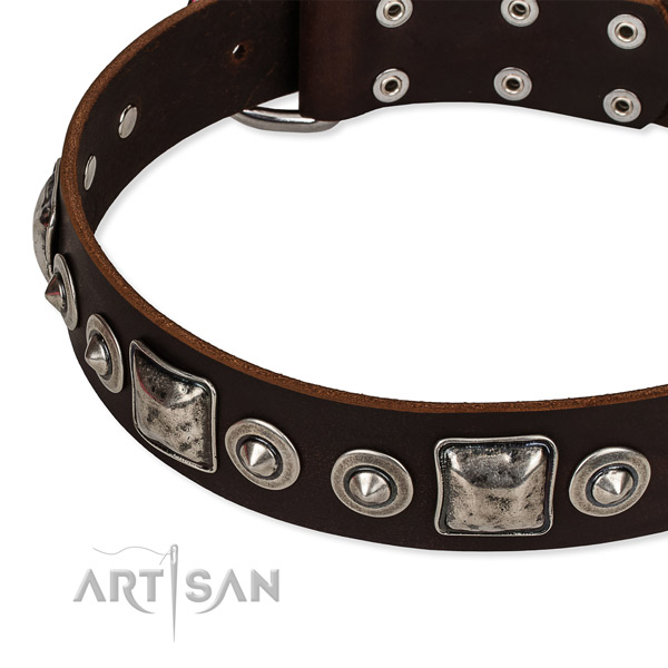 Full grain natural leather dog collar made of quality material with studs