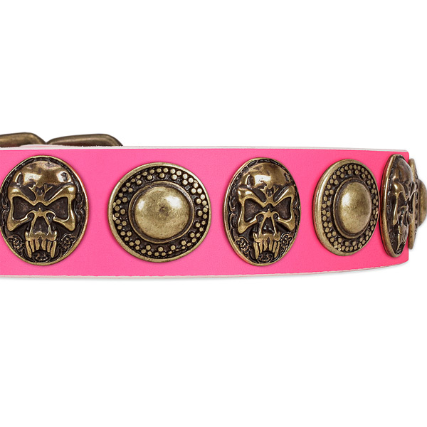 Corrosion resistant studs on full grain genuine leather dog collar for your pet