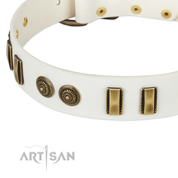 Reliable decorations on full grain leather dog collar for your canine