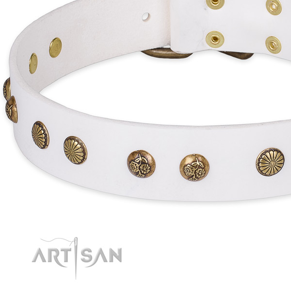 Full grain natural leather collar with rust-proof buckle for your stylish four-legged friend