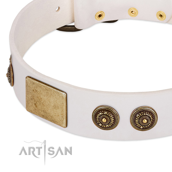 Top notch dog collar handcrafted for your handsome canine