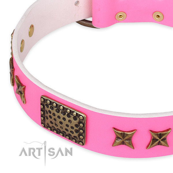 Full grain natural leather collar with reliable hardware for your beautiful doggie