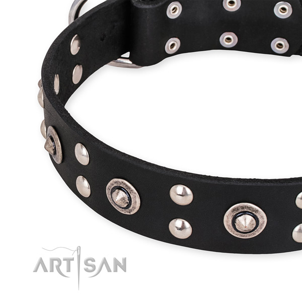 Leather collar with strong D-ring for your stylish four-legged friend