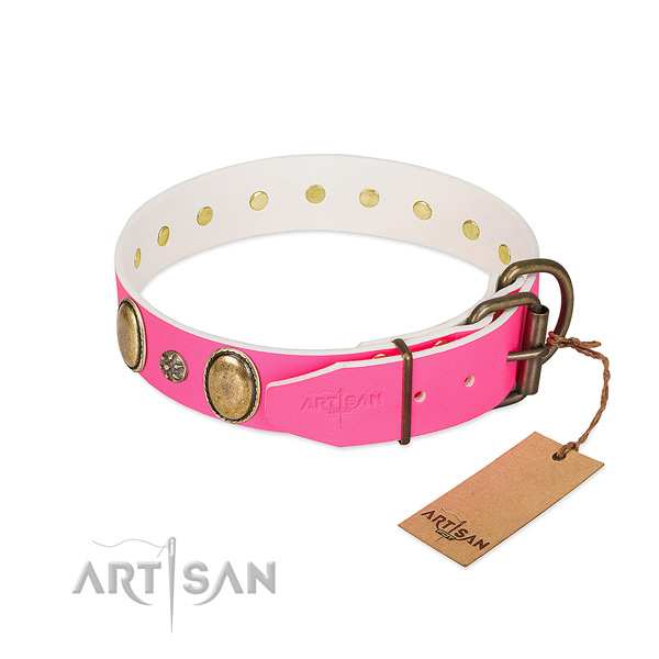 Quality genuine leather dog collar with embellishments