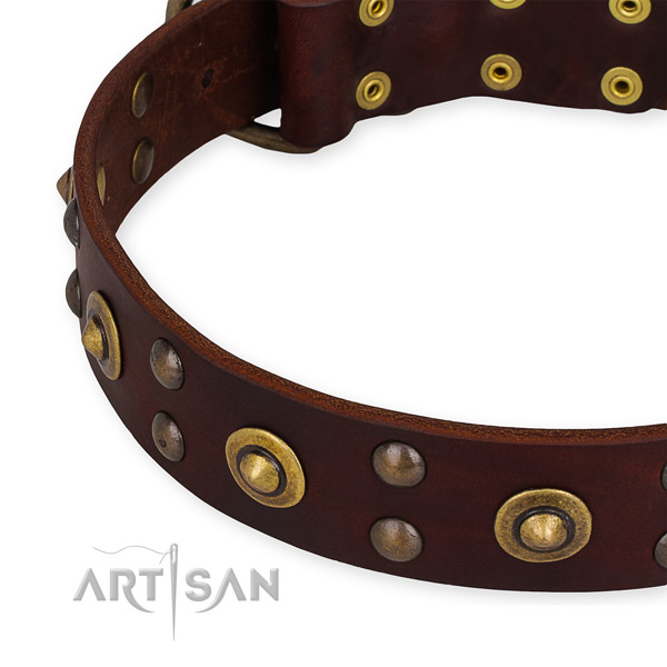 Full grain natural leather collar with corrosion proof hardware for your lovely dog