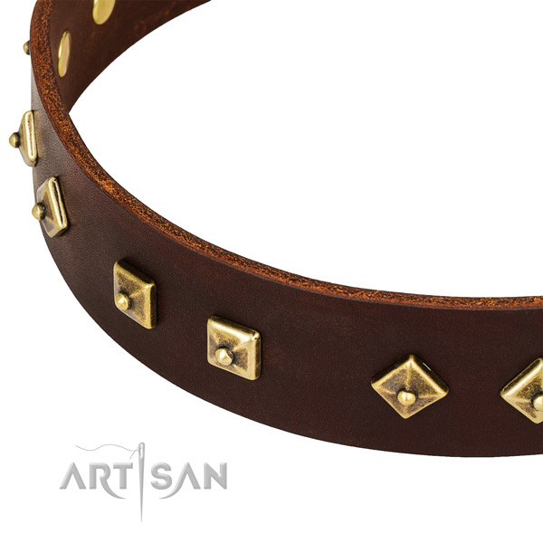 Easy wearing full grain leather collar for your beautiful pet