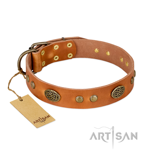 Rust resistant adornments on full grain leather dog collar for your four-legged friend