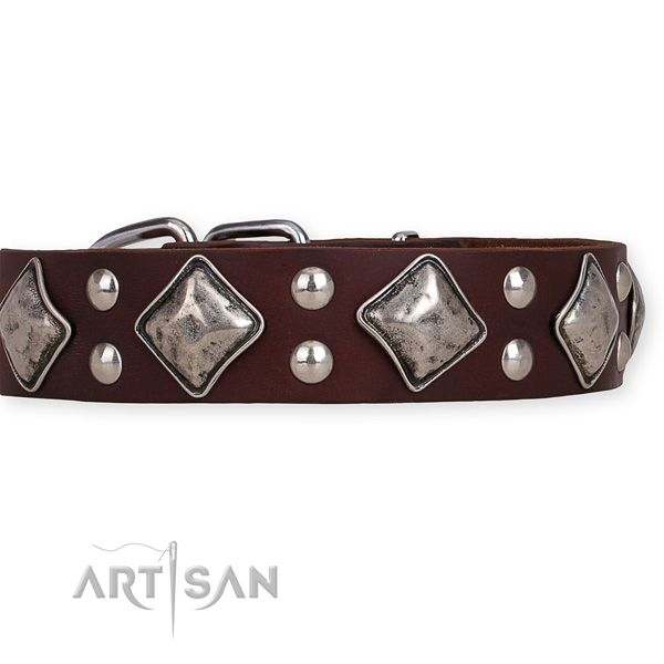 Genuine leather dog collar with awesome corrosion proof adornments