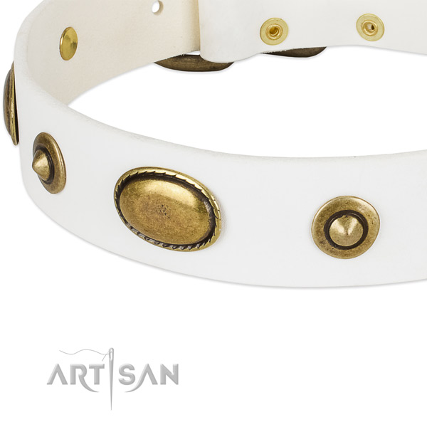 Durable studs on genuine leather dog collar for your four-legged friend