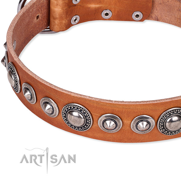 Walking decorated dog collar of reliable full grain genuine leather