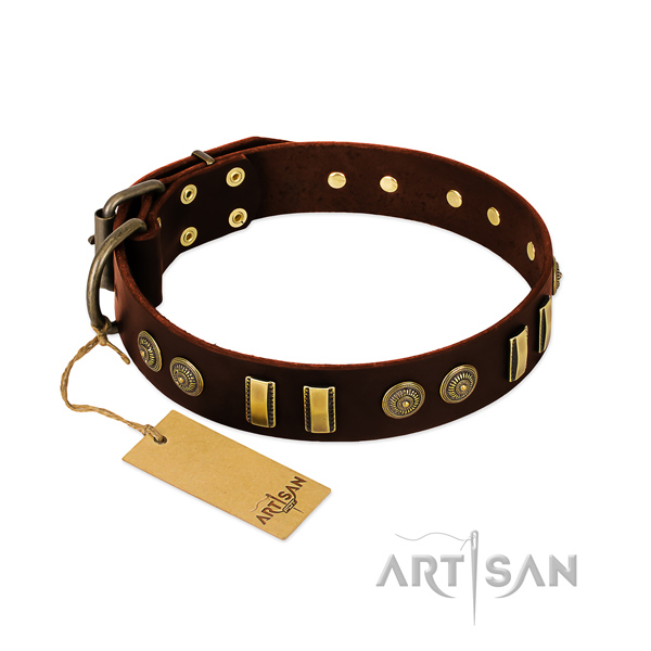 Rust-proof studs on genuine leather dog collar for your canine