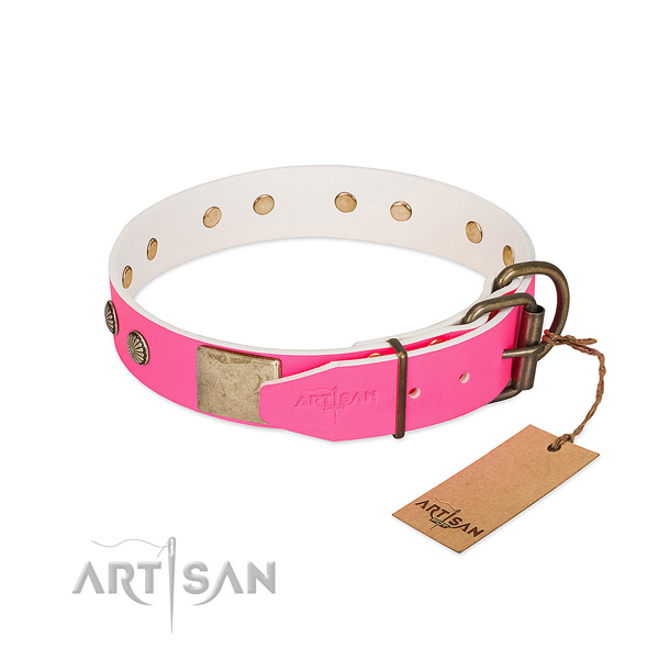Reliable adornments on everyday walking dog collar