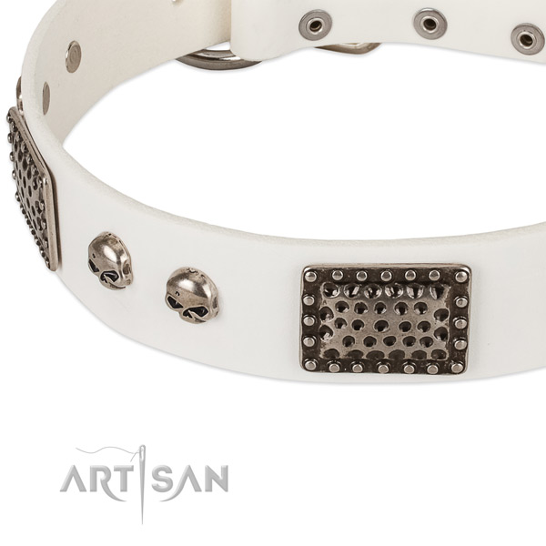 Rust-proof embellishments on full grain genuine leather dog collar for your dog