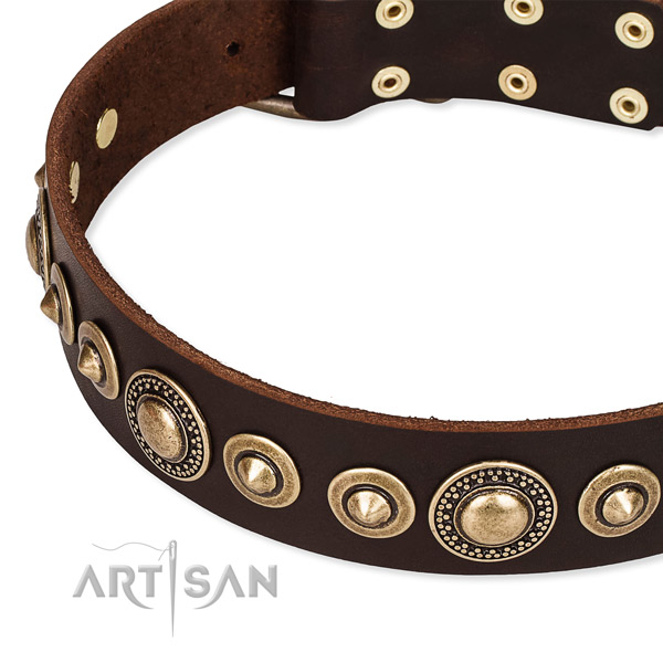 High quality leather dog collar handmade for your beautiful doggie