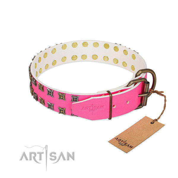 Natural leather collar with amazing embellishments for your dog