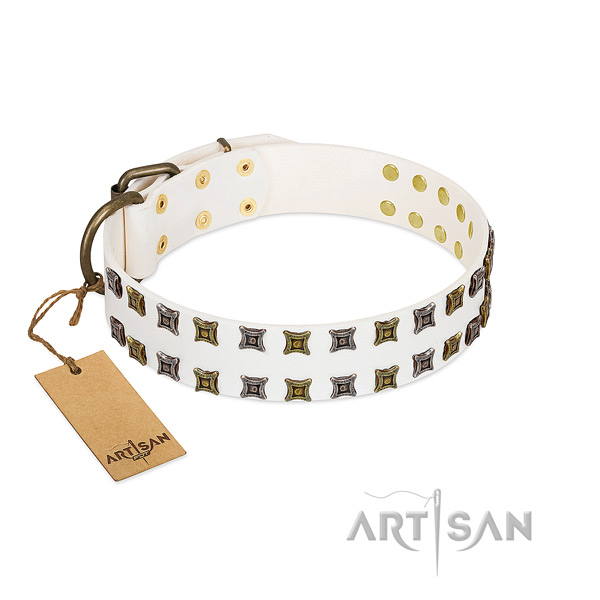 Leather collar with incredible embellishments for your doggie