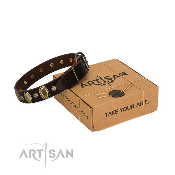 Decorated full grain genuine leather dog collar with corrosion proof fittings