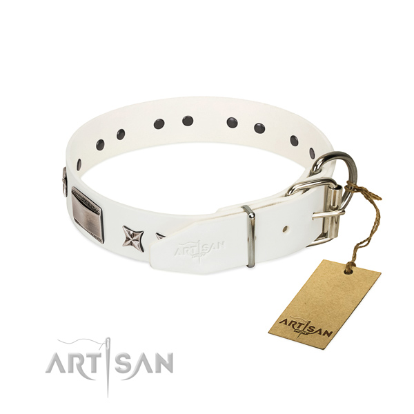Impressive collar of leather for your attractive doggie