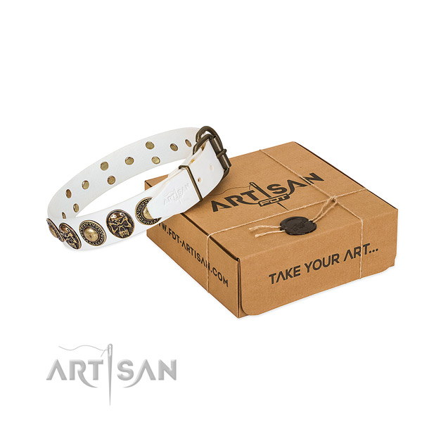 Corrosion proof D-ring on dog collar for daily walking