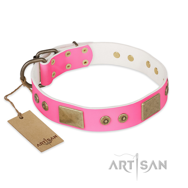 Easy wearing full grain natural leather dog collar for walking your canine
