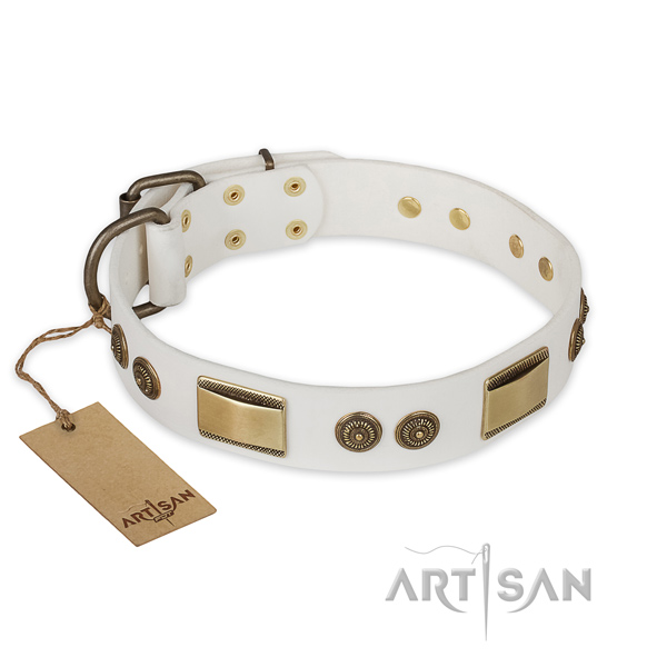Stunning leather dog collar for easy wearing