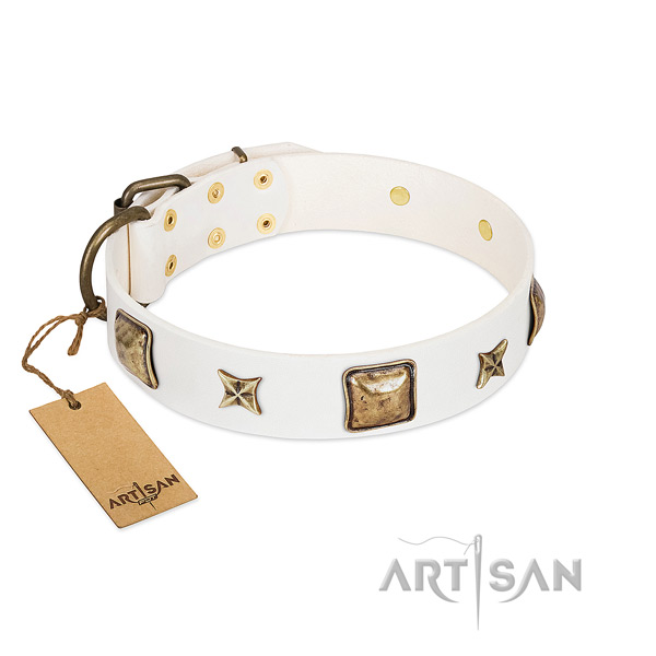 Remarkable genuine leather dog collar for stylish walking