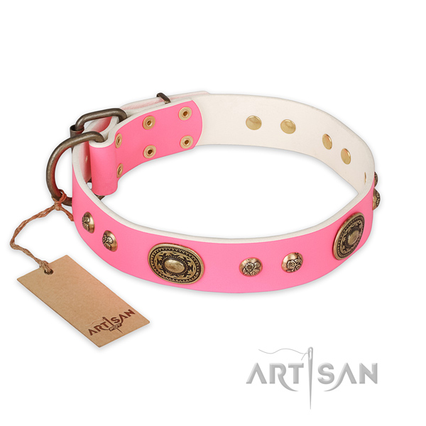 Studded genuine leather dog collar for handy use