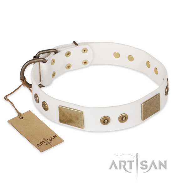 Designer full grain natural leather dog collar for walking