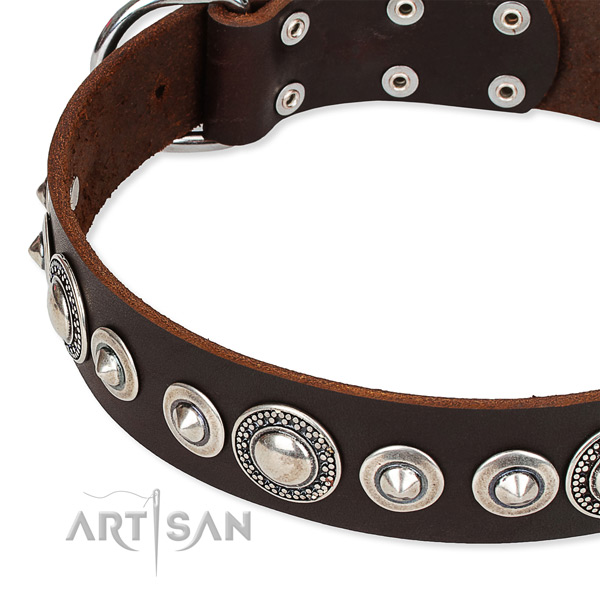 Daily use decorated dog collar of reliable full grain genuine leather