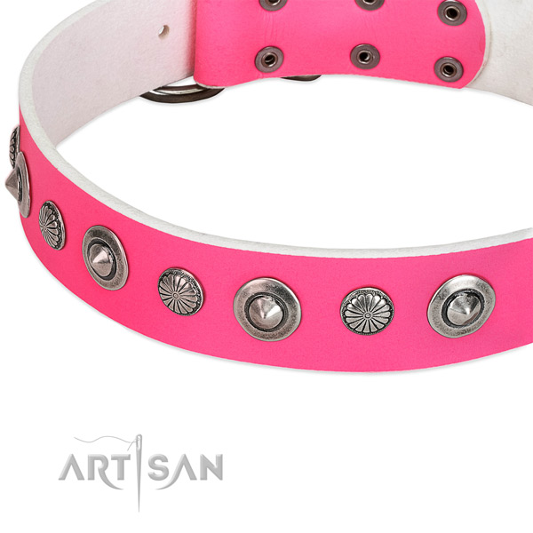 Full grain genuine leather collar with rust-proof D-ring for your attractive doggie