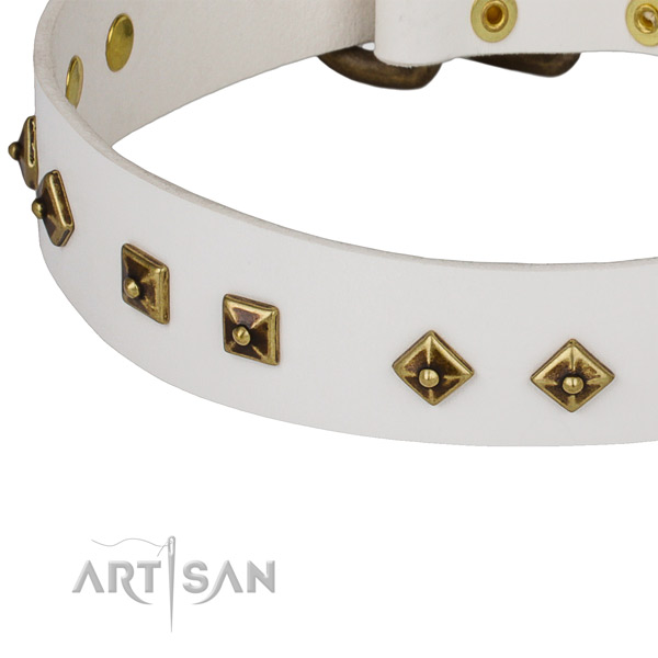 Amazing genuine leather collar for your lovely doggie