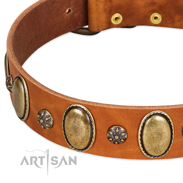Daily use flexible leather dog collar