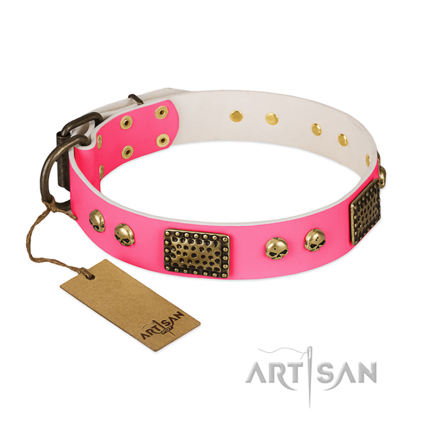 Easy adjustable leather dog collar for walking your four-legged friend