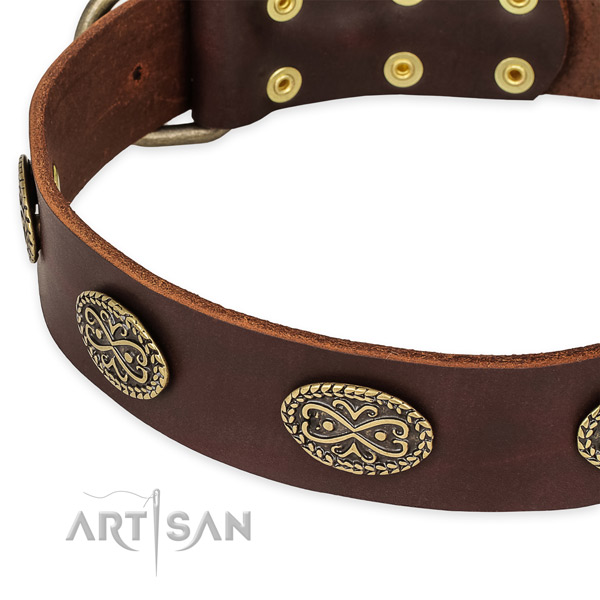 Stylish natural genuine leather collar for your beautiful four-legged friend