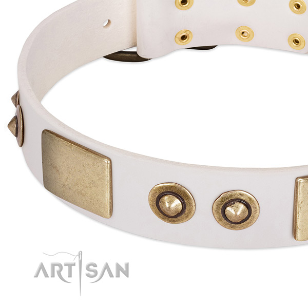 Durable fittings on leather dog collar for your pet